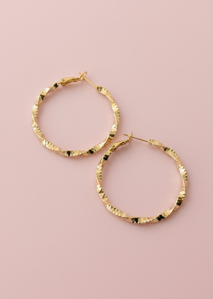 Aventura Stainless Steel Hoop Earrings 
