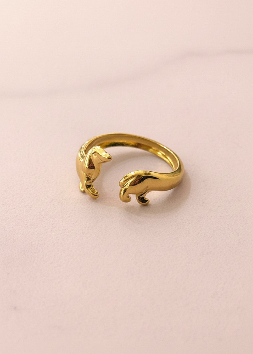 Dachshund Tour Ring 