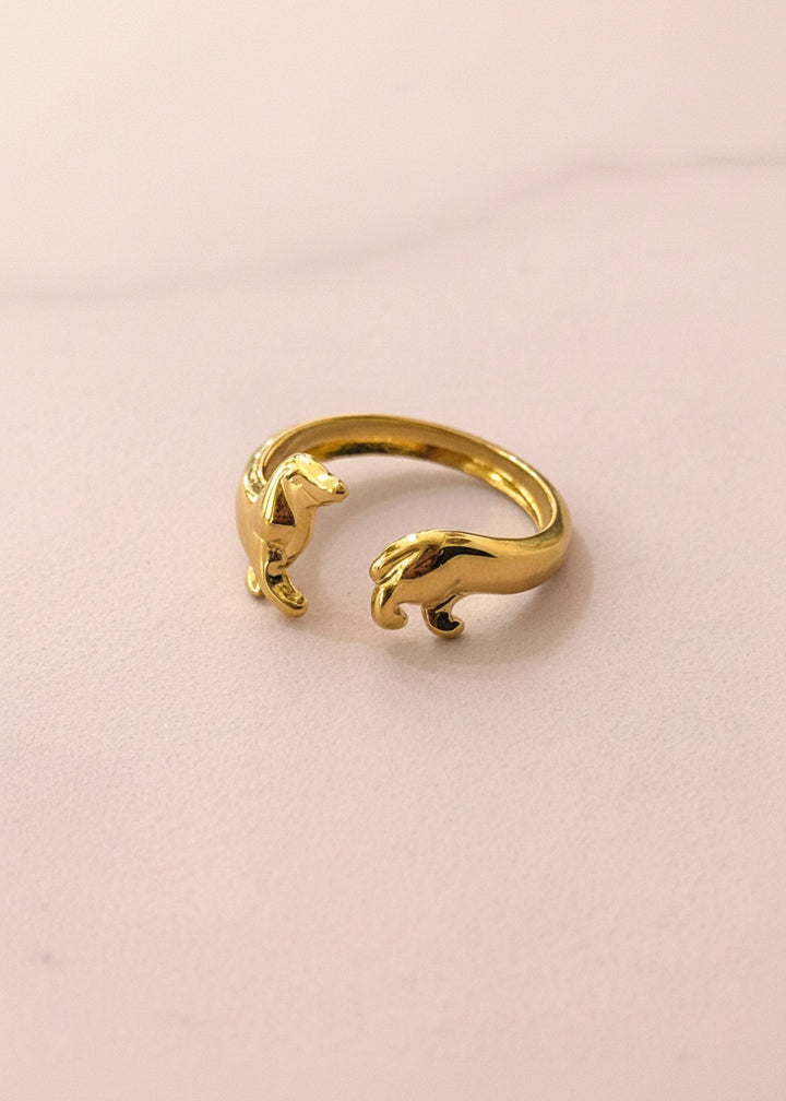Dachshund Tour Ring 
